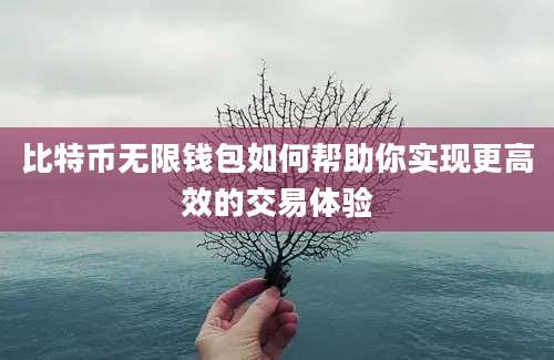 比特币无限钱包如何帮助你实现更高效的交易体验