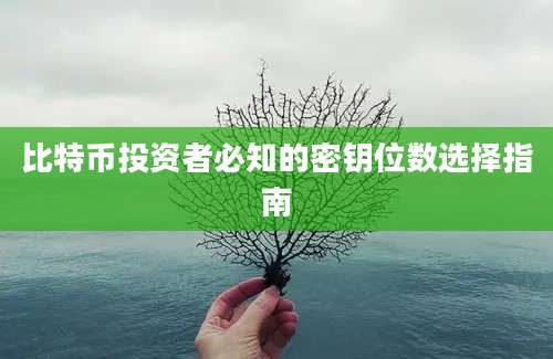 比特币投资者必知的密钥位数选择指南