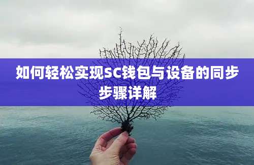 如何轻松实现SC钱包与设备的同步步骤详解