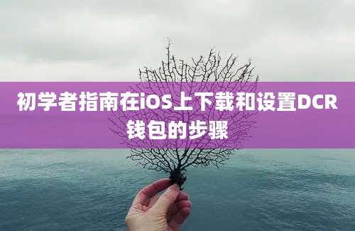 初学者指南在iOS上下载和设置DCR钱包的步骤