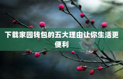 下载家园钱包的五大理由让你生活更便利