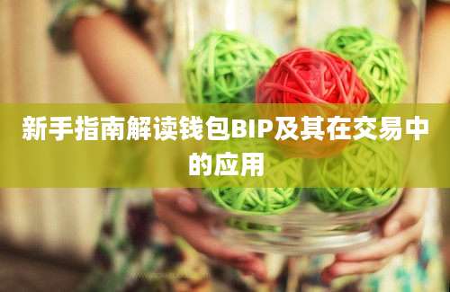 新手指南解读钱包BIP及其在交易中的应用