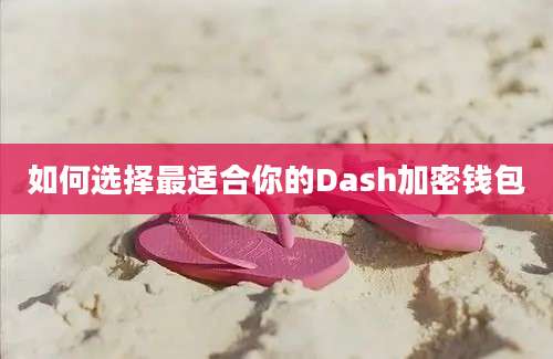 如何选择最适合你的Dash加密钱包