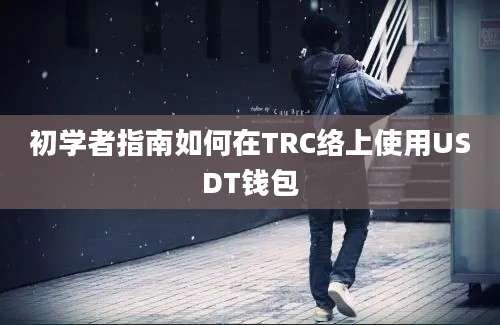 初学者指南如何在TRC络上使用USDT钱包