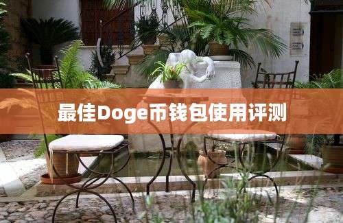 最佳Doge币钱包使用评测