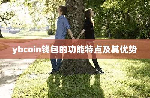 ybcoin钱包的功能特点及其优势