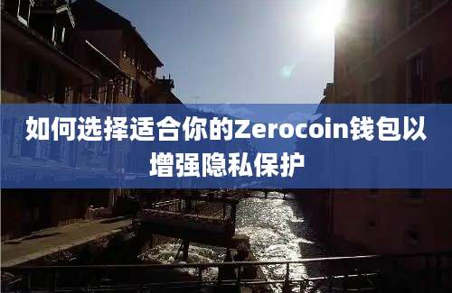 如何选择适合你的Zerocoin钱包以增强隐私保护