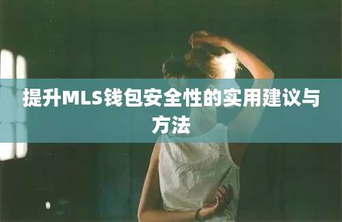 提升MLS钱包安全性的实用建议与方法