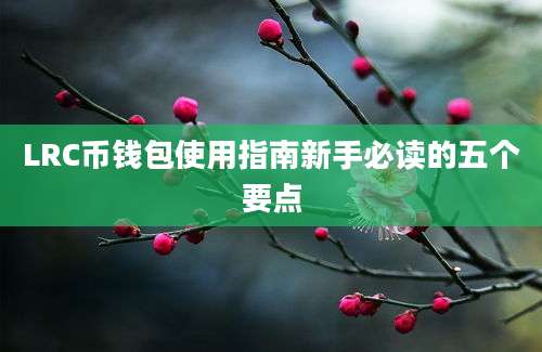 LRC币钱包使用指南新手必读的五个要点