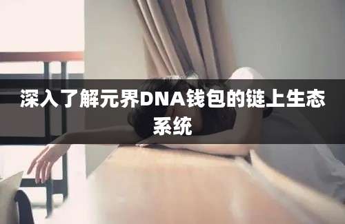 深入了解元界DNA钱包的链上生态系统