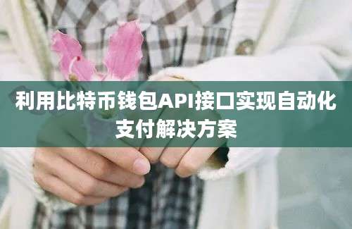 利用比特币钱包API接口实现自动化支付解决方案