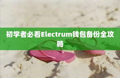 初学者必看Electrum钱包备份全攻略