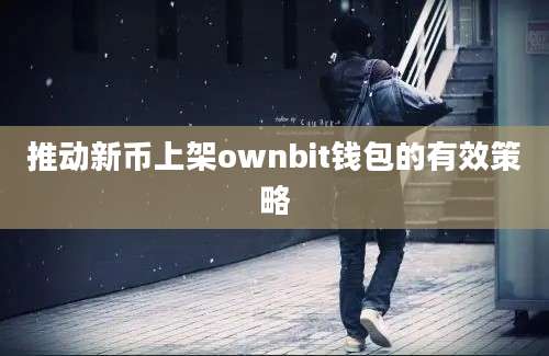 推动新币上架ownbit钱包的有效策略