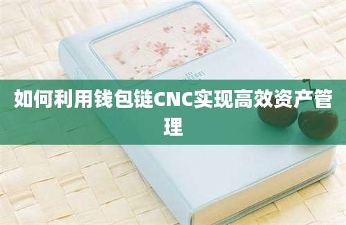 如何利用钱包链CNC实现高效资产管理