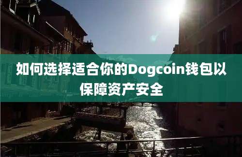 如何选择适合你的Dogcoin钱包以保障资产安全