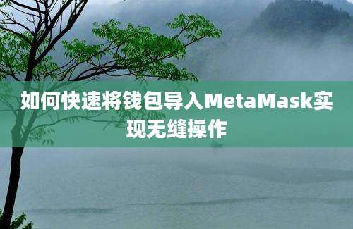 如何快速将钱包导入MetaMask实现无缝操作