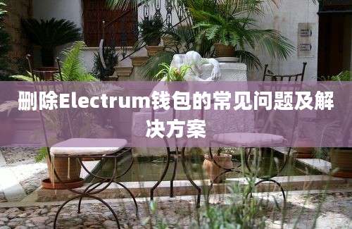 删除Electrum钱包的常见问题及解决方案