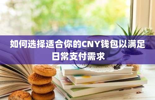 如何选择适合你的CNY钱包以满足日常支付需求