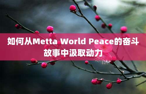 如何从Metta World Peace的奋斗故事中汲取动力