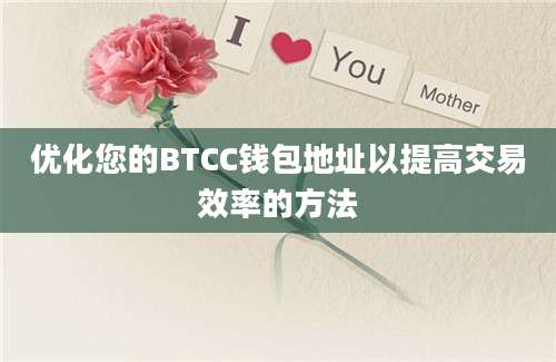 优化您的BTCC钱包地址以提高交易效率的方法