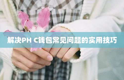 解决PH C钱包常见问题的实用技巧