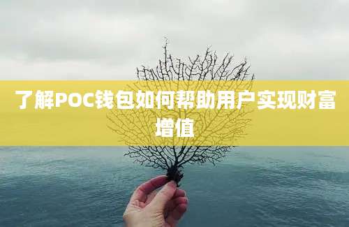 了解POC钱包如何帮助用户实现财富增值