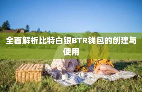 全面解析比特白银BTR钱包的创建与使用