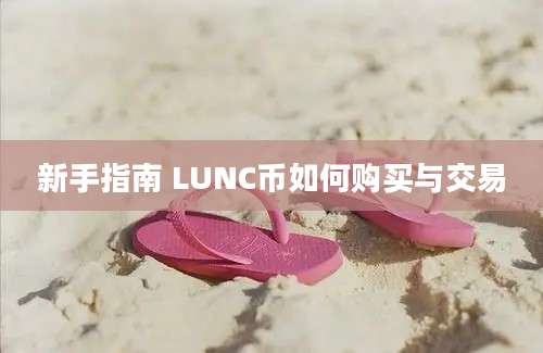 新手指南 LUNC币如何购买与交易