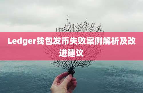 Ledger钱包发币失败案例解析及改进建议