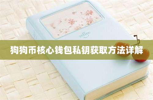 狗狗币核心钱包私钥获取方法详解