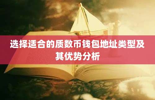 选择适合的质数币钱包地址类型及其优势分析