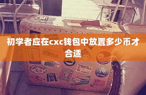 初学者应在cxc钱包中放置多少币才合适