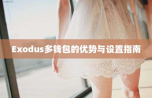 Exodus多钱包的优势与设置指南