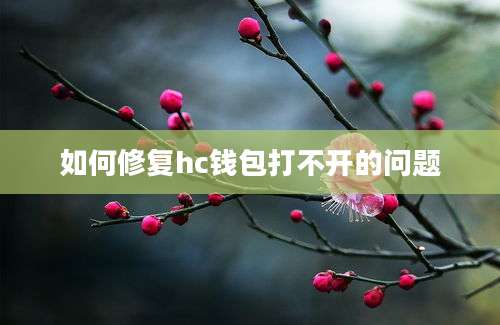 如何修复hc钱包打不开的问题