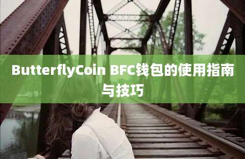 ButterflyCoin BFC钱包的使用指南与技巧