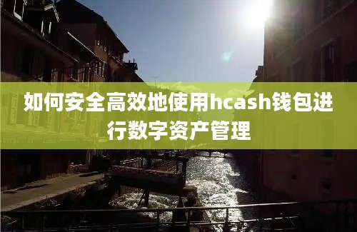 如何安全高效地使用hcash钱包进行数字资产管理