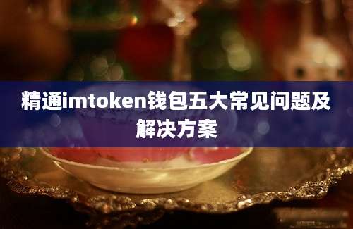 精通imtoken钱包五大常见问题及解决方案