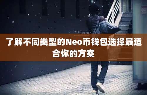 了解不同类型的Neo币钱包选择最适合你的方案