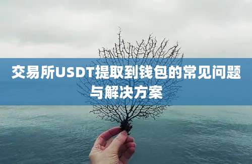 交易所USDT提取到钱包的常见问题与解决方案