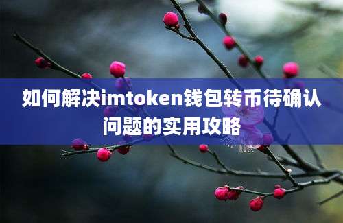 如何解决imtoken钱包转币待确认问题的实用攻略