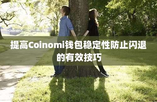 提高Coinomi钱包稳定性防止闪退的有效技巧