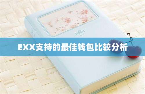 EXX支持的最佳钱包比较分析