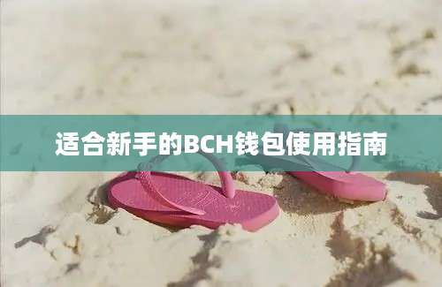 适合新手的BCH钱包使用指南