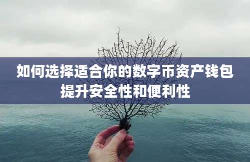 如何选择适合你的数字币资产钱包提升安全性和便利性