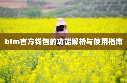 btm官方钱包的功能解析与使用指南