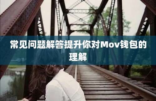 常见问题解答提升你对Mov钱包的理解