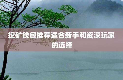 挖矿钱包推荐适合新手和资深玩家的选择