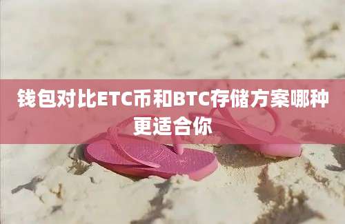 钱包对比ETC币和BTC存储方案哪种更适合你