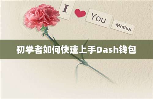 初学者如何快速上手Dash钱包