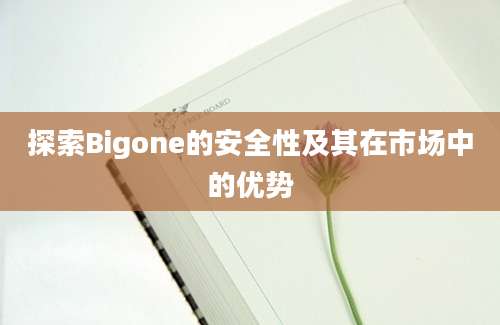 探索Bigone的安全性及其在市场中的优势